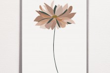 Carte Marguerite rose