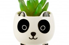 Mini-planteur Panda