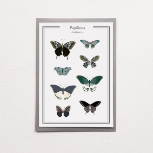 Carte planche papillons