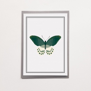 Carte Papillon vert