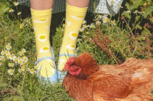 Chaussettes Oeuf
