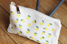 Trousse Citrons