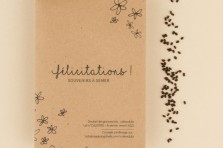 Sachet de graines : "félicitations !" - Calendula