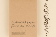 Sachet de graines : Fleurs des champs