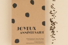 Sachet de graines : "Joyeux anniversaire" - Fleurs des champs