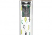 Infuseur nomade - cactus