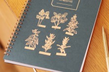 Carnet de recettes Mes Aromates