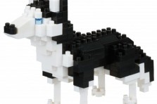 Nanoblock Husky