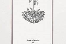 Carte Bon anniversaire toi - Chrysanthème