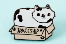 Pin's Chat Carton Spacial