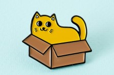 Pin's Chat dans son Carton