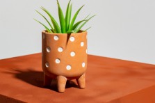 Petit cache pot polka dot