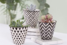 Set de 3 mini caches pots style géométrique